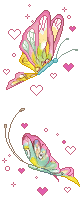 butterflies