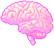 brain