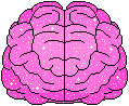 brain