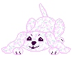 dog plush