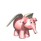 elephant fly