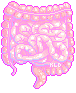 intestines