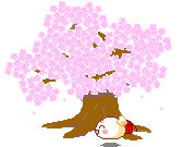 kaoani tree