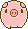 pig