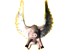 flying pig