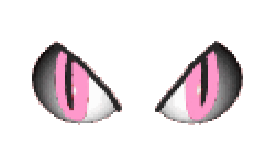 cat eyes