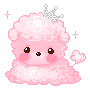 poodle