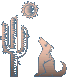 coyote