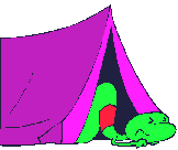 camping snake