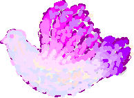 dove