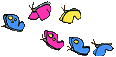 butterflies