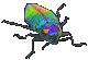 beetle