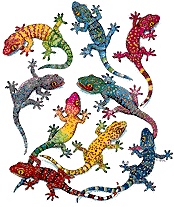 geckos