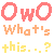 owo whats this