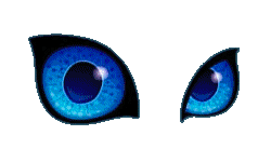eyes
