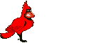 cardinal