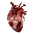 real heart
