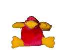 platypus beanie