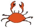 crab