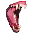 dog teeth