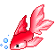 goldfish