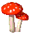 mushroom