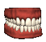dentures