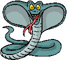 cobra