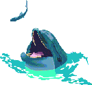 dolphin