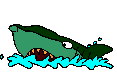 shark