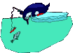 penguin fish