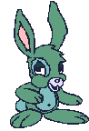 rabbit