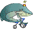 whale