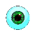 eye