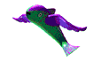 flying fish