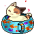 kitty pool