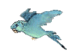 parrot
