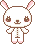 rabbit