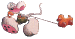 mouse