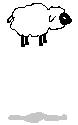 sheep