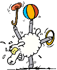 sheep
