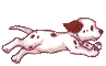 dalmatian