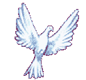 dove