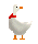 goose