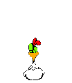 rooster