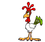 rooster
