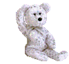 bear wave