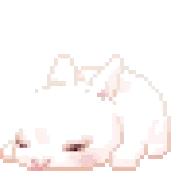 bunny