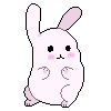 bunny