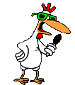 rooster